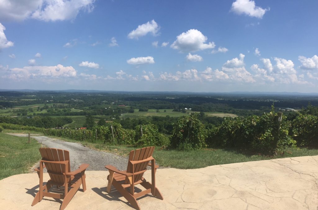 Northern Virginia wine region