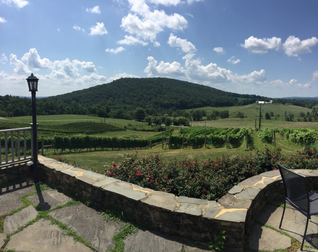 Hillsborough Vineyards