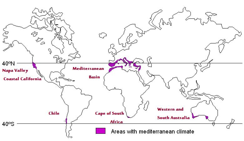 World Wine Latitudes