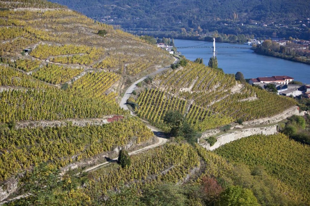 Condrieu wine region and Rhone River