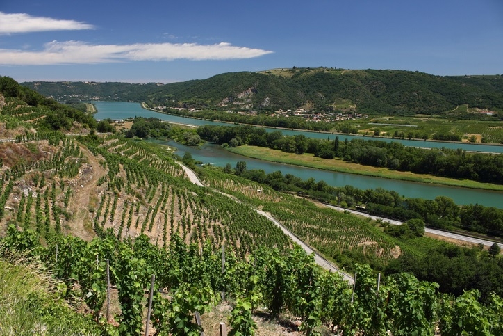 Cotes du Rhone, river in France by https://www.winetraveler.com