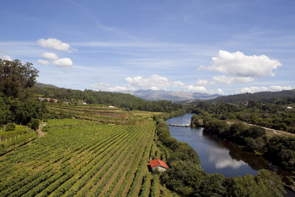 Vinho Verde wine region