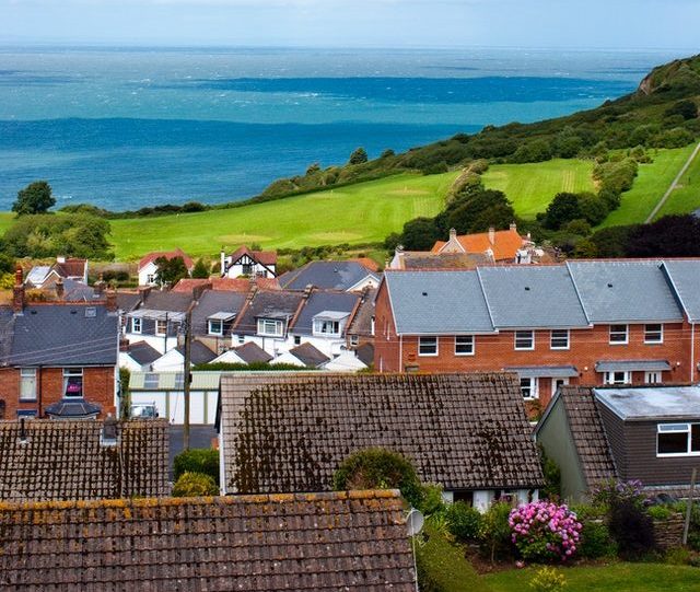 Photo by Shelly Still from Pexels