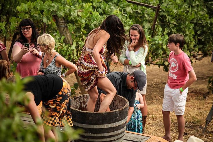 Girl in a grape vat, stomping grapes, while onlookers enjoy the scene